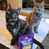 Stella & Chewys Meofulls Chicken & Chicken Liver Freeze Dried Cat Treats 1.5oz - Poudre Pet & Feed Supply 3